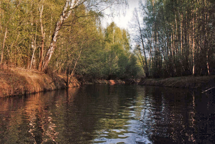 река сясь