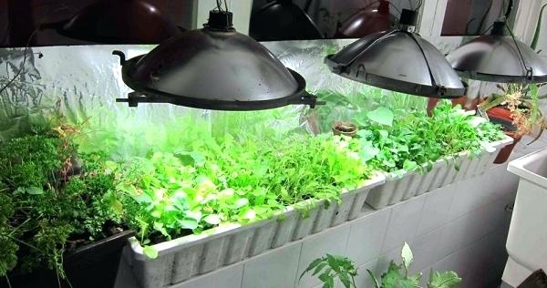 подсветка растений люминесцентными лампами