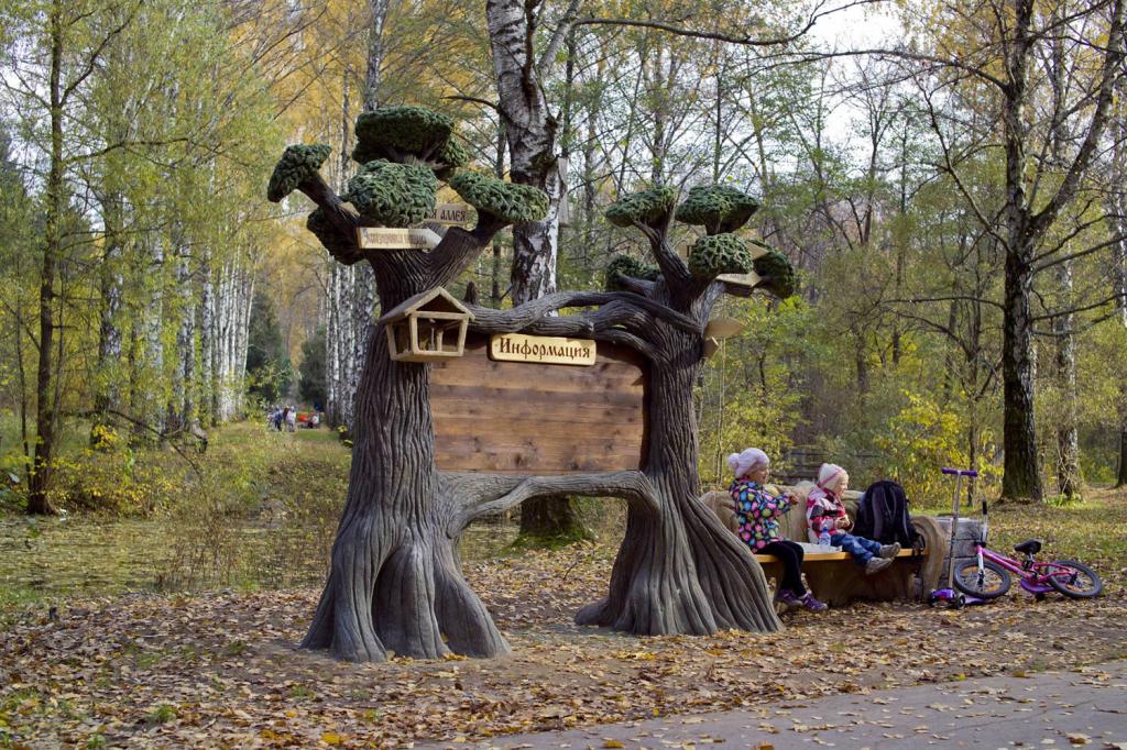 дендропарк в бирюлево