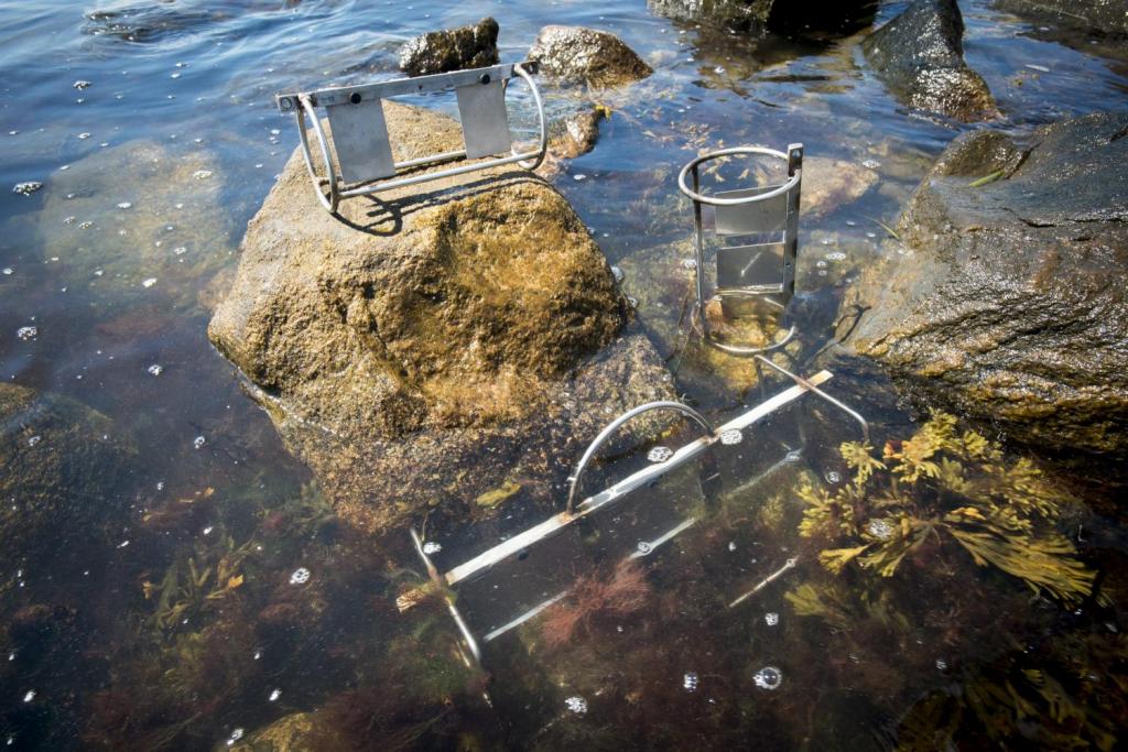 Органически загрязненная вода.