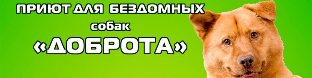 Приют для собак "Доброта"