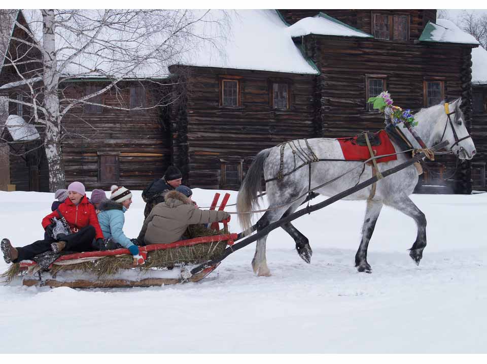 Сани для перевозки
