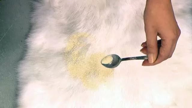 чистка горчичным порошком