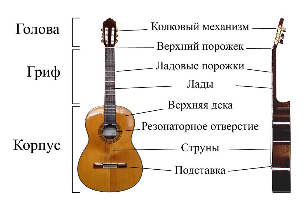строение гитары