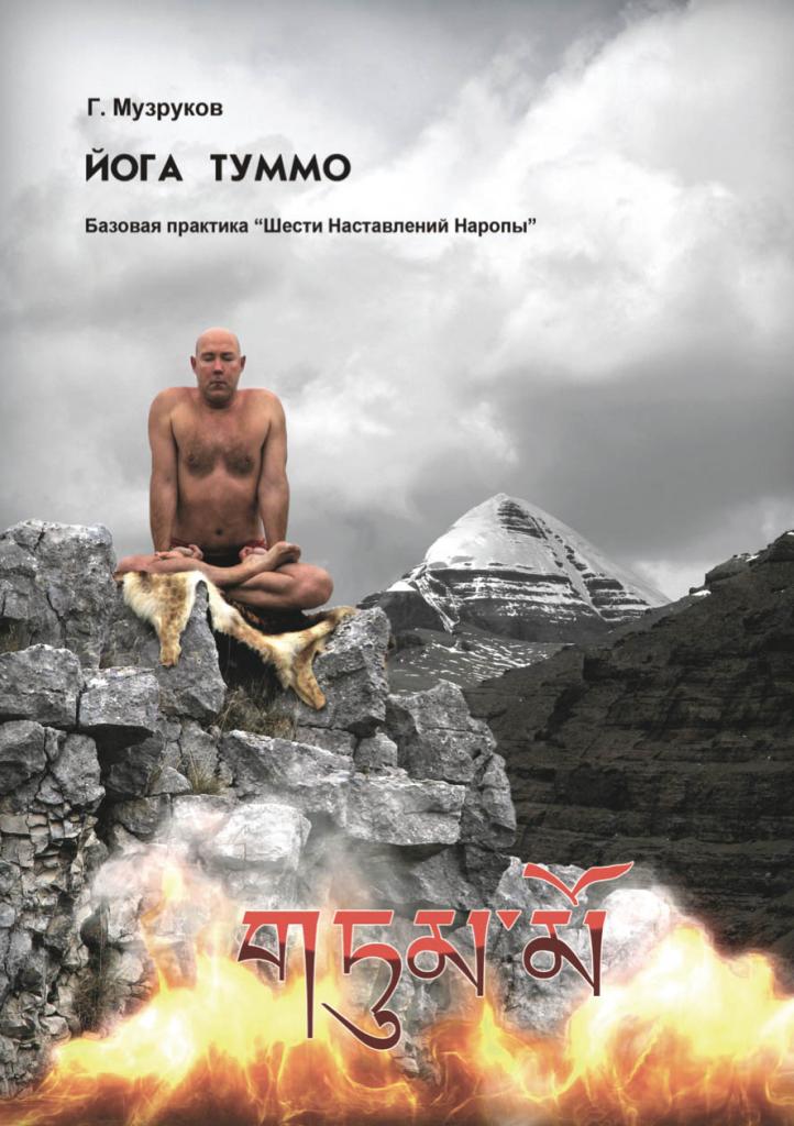 книга Музрукова